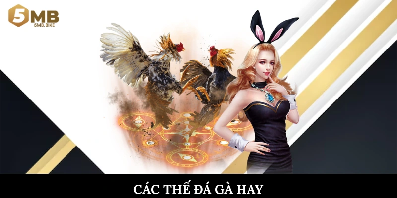 Các thế đá gà hay