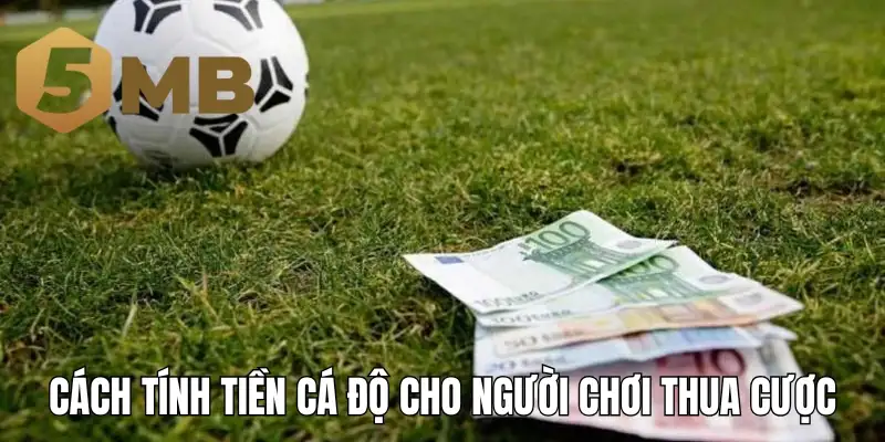 Cách tính tiền cá độ cho người chơi thua cược