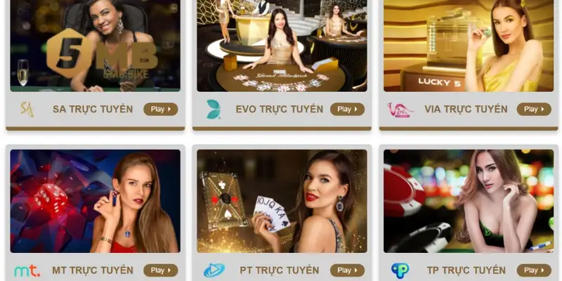 Đối tác uy tín an toàn của thương hiệu 5Mb hiện nay