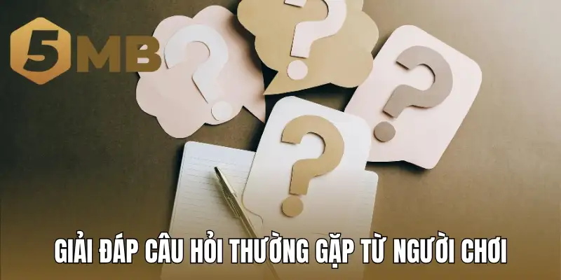 Giải đáp câu hỏi thường gặp từ người chơi khi đăng nhập