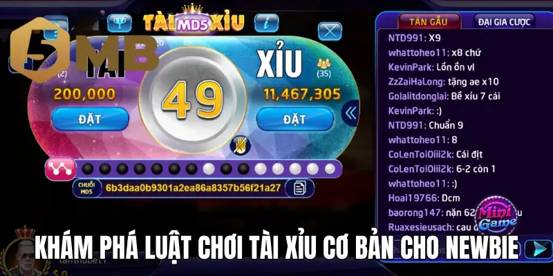 Khám phá luật chơi tài xỉu cơ bản cho newbie