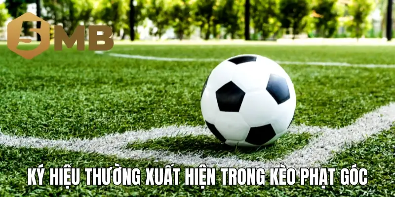 Ký hiệu thường xuất hiện trong kèo phạt góc
