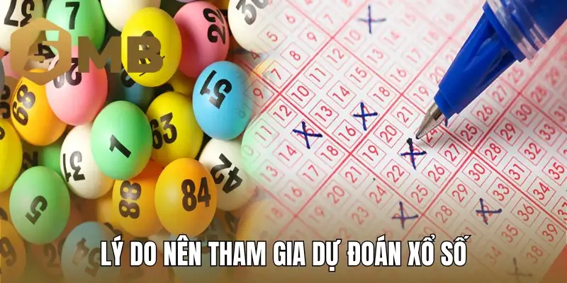 Lý do nên tham gia dự đoán xổ số