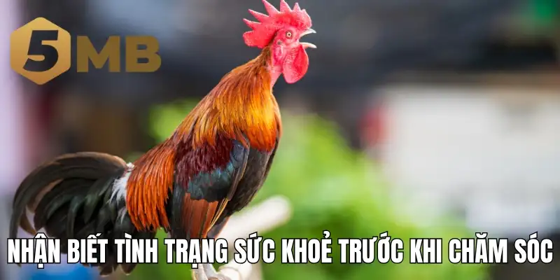 Nhận biết tình trạng sức khoẻ trước khi chăm sóc