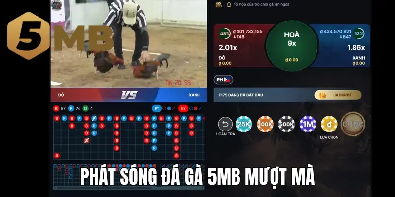 Phát sóng đá gà 5Mb mượt mà
