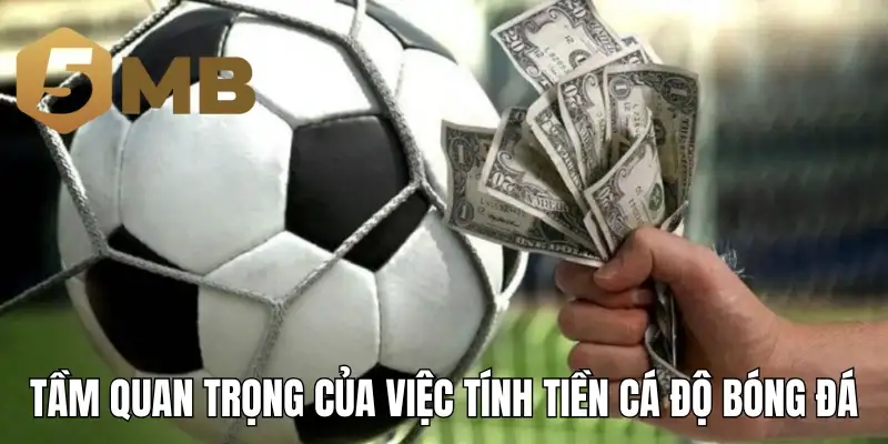 Tầm quan trọng của việc tính tiền cá độ bóng đá