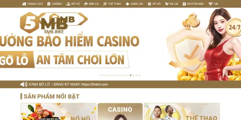 Thành tựu mà 5Mb có được khi ra mắt phát triển