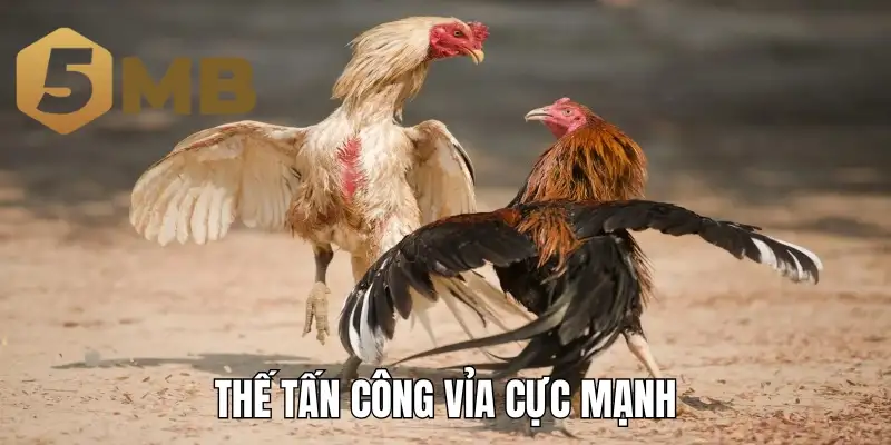 Thế tấn công vỉa cực mạnh