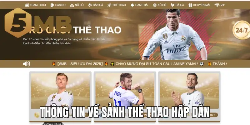 Thông tin về sảnh thể thao hấp dẫn