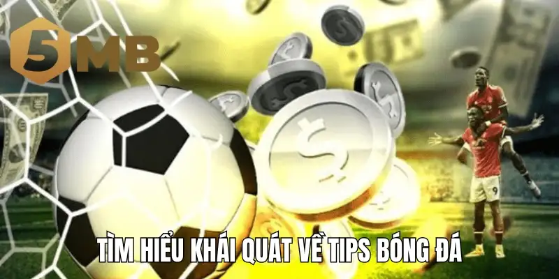Tìm hiểu khái quát về tips bóng đá