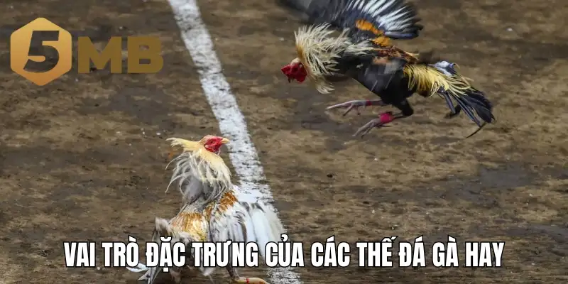 Vai trò đặc trưng của các thế đá gà hay